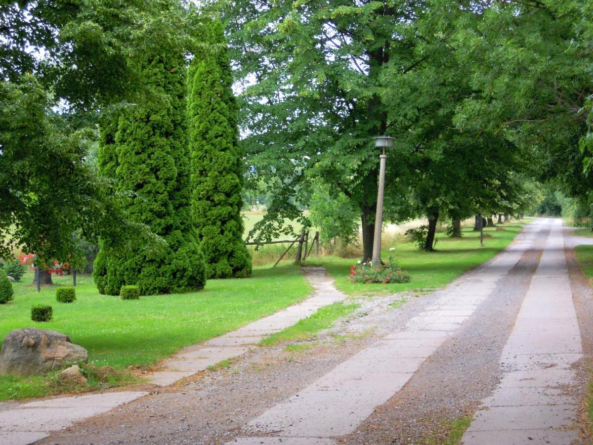 Ferienwohnung Wolfsholz Вернігероде Екстер'єр фото