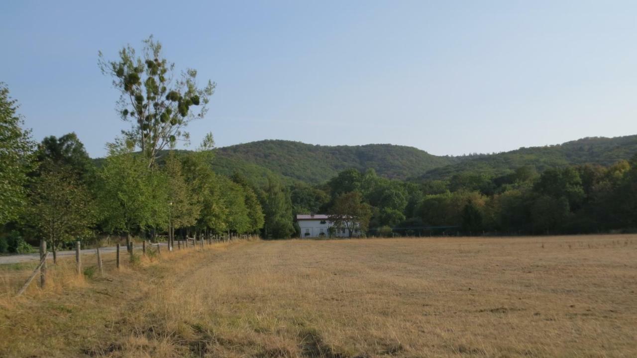 Ferienwohnung Wolfsholz Вернігероде Екстер'єр фото