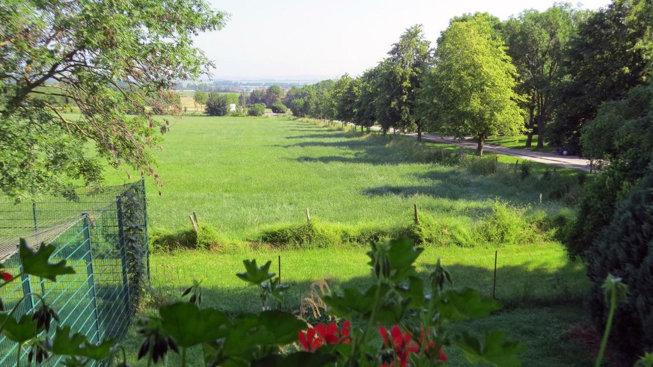 Ferienwohnung Wolfsholz Вернігероде Екстер'єр фото